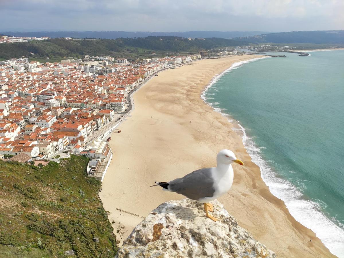 Casa Sao Giao Apartment Nazare Luaran gambar